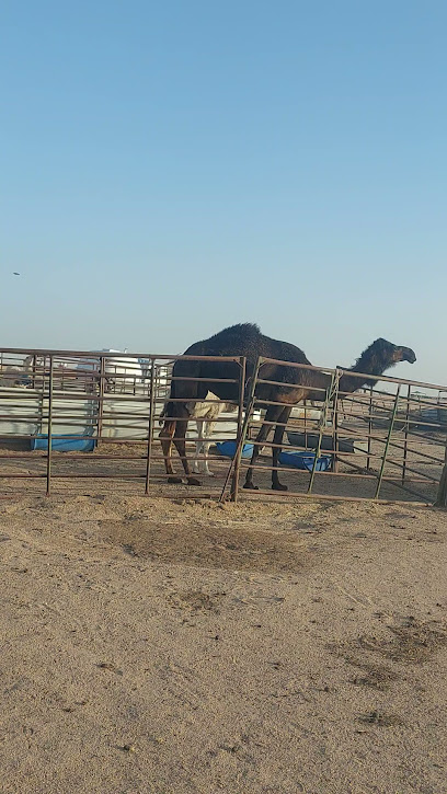 مزرعه فهد السواده