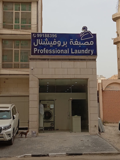 Professional Laundry