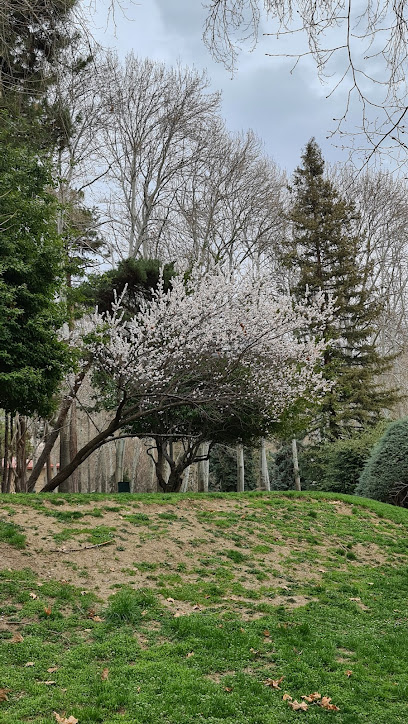 Dr. Tarek Roshdy Clinic عيادة الدكتور طارق رشدي