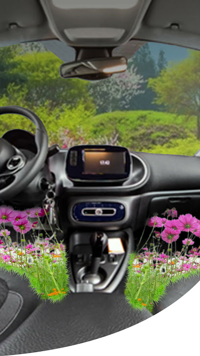 Dr Scent Kuwait - دكتور سنت الكويت