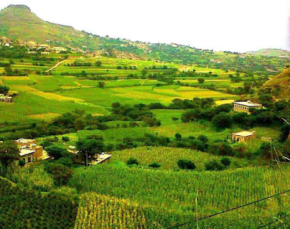 ديوان الدكتور سعيد العجمي