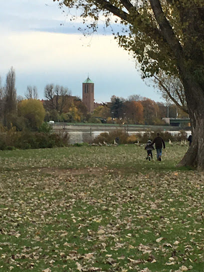 u200fمزرعة الدكتور منصور بن عبيد العجمي