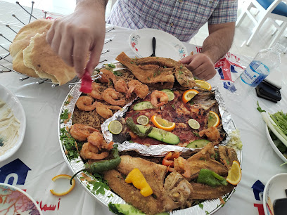 أسماك نوارة الإسكندرية