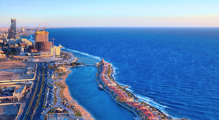 افضل دكتور مسالك بولية في جدة