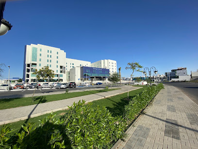 مجمع الملك عبدالله الطبي - النساء والولادة