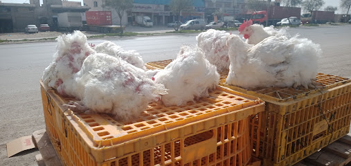 دواجن الخير الطازجه