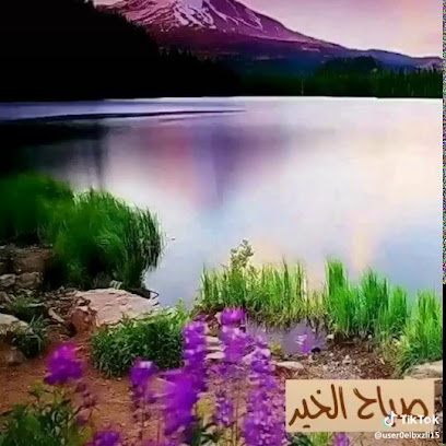 مطعم المصري