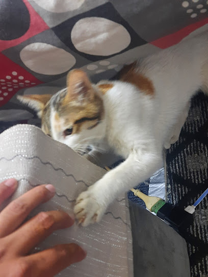 عيادة الدكتور سامر الجبالي