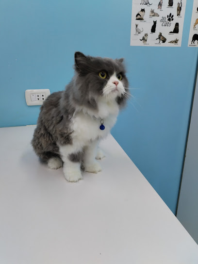 Zarqa Veterinary Center مركز الزرقاء لطب الحيوان