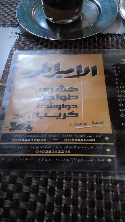 دكتورة رشا عبد الحميد زكى