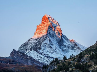 منطقة بدر المنياوي
