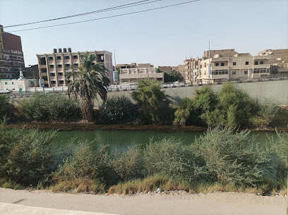 الواحة - مطعم فول وطعمية وفلافل