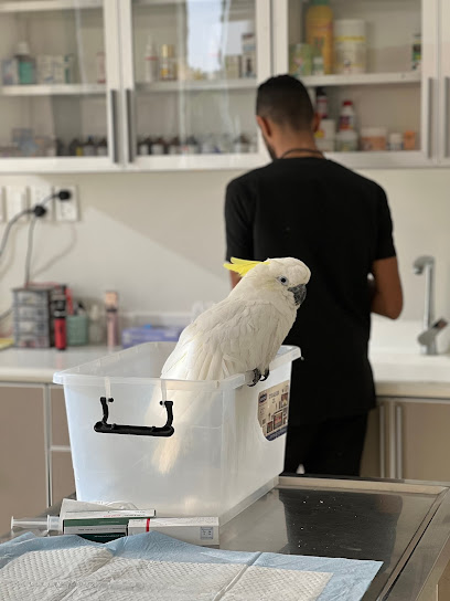 عيادة عنقاء الشرق البيطرية East Phoenix Vet Clinic