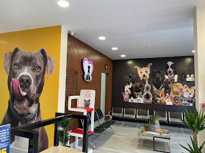 Essential Veterinary Care الرعاية اللازمة البيطرية