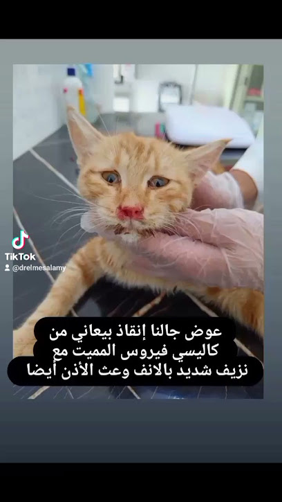 عيادة تبوك الاولية البيطرية