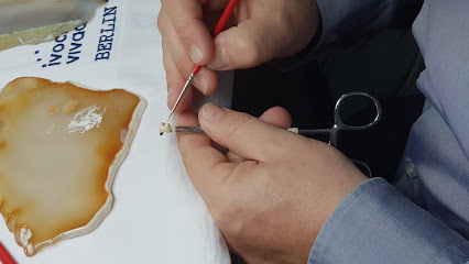 Hollywood Smile Art Laboratory