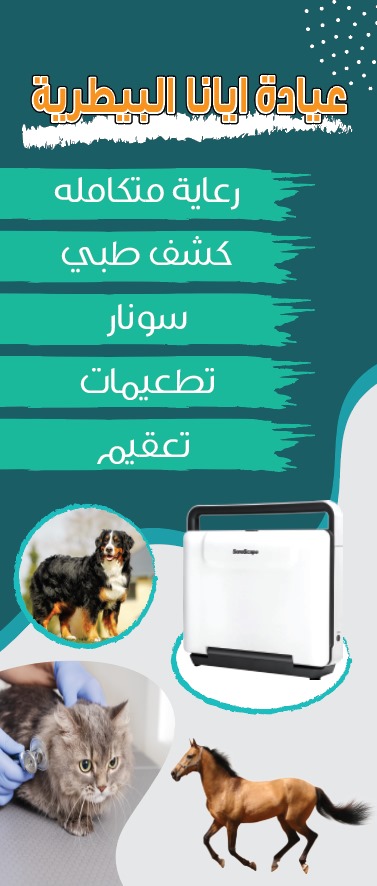 عيادة أيانا البيطرية