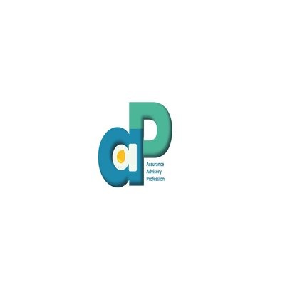  شركة ضمان للاستشارات المهنية 