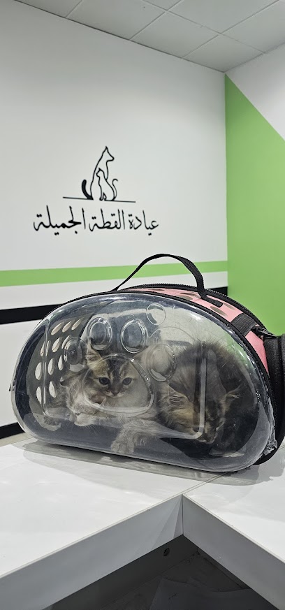 عيادة القطة الجميلة البيطريه