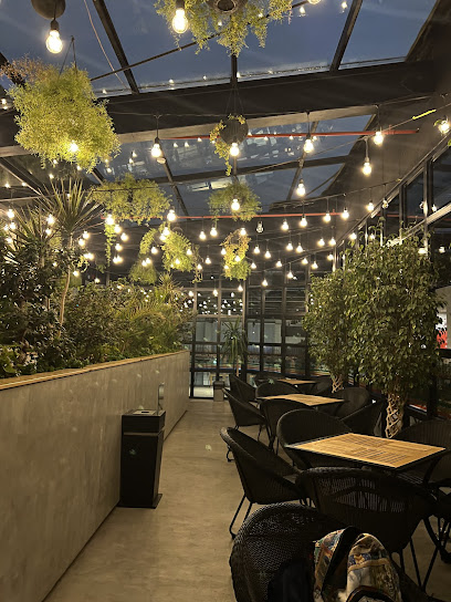 نواة للقهوة المختصة