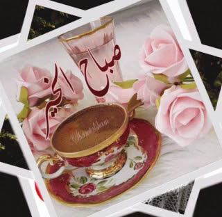 متوسطة أبن البيطار