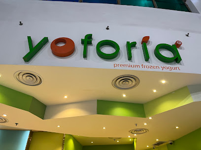 Yoforia Frozen Yogurt