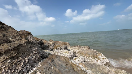 Antique محل مقتنيات - وزارة الاعلام