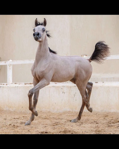 مربط السهيل