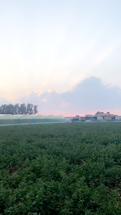 مزرعة فهد الغروي