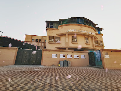 مدارس سمو الفيصل