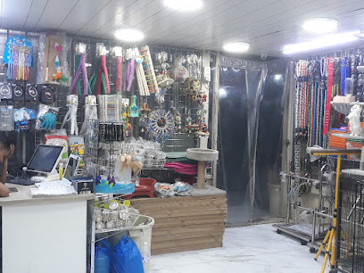 Kw-falcon Shop No:37