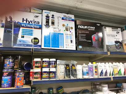 Shop 20 at Pet bird market