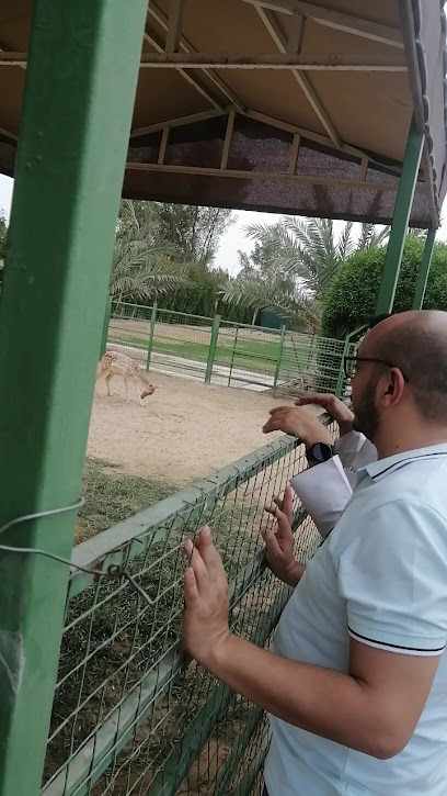 قهوه العبدلي kemos bar