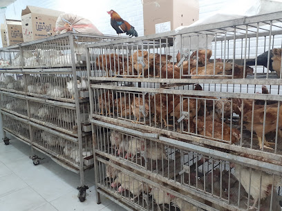 محل دواجن المنقف مناحي للدواجن