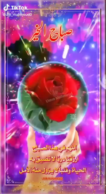 مدرسة الامام الشافعي الابتدائية - بنين