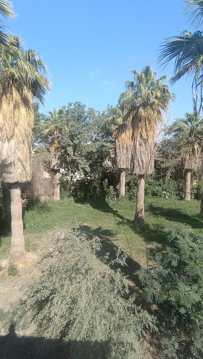 متوسطة شريفة بنت الحسن للبنات