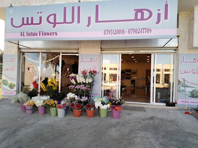 ازهار اللوتس الكرك