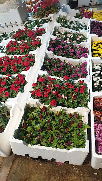 تنسيق الحدائق بالرياض