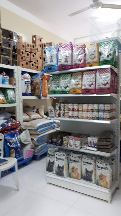 ركن الطيور و الحيوانات الأليفة