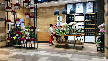 BLOSSOMS Florist (Flower Shop)