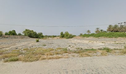 عيادة سفينة الصحراء الذهبية البيطرية