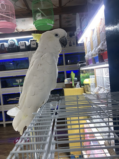 الماس للحيوانات الاليفة Almas pets