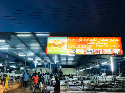 AlL SAHELAL AJEEB TRADING