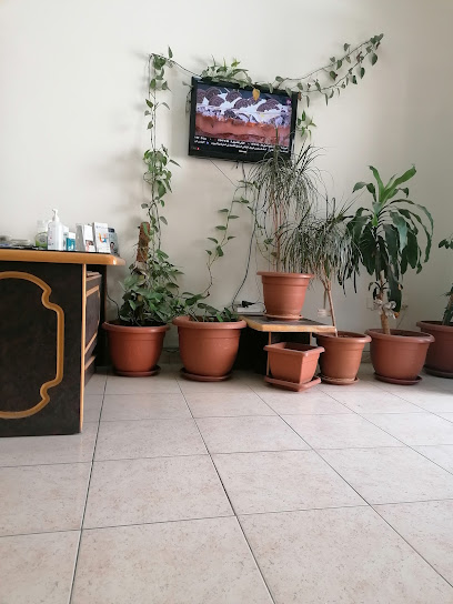 Dr. Bassam Sharawneh Clinic