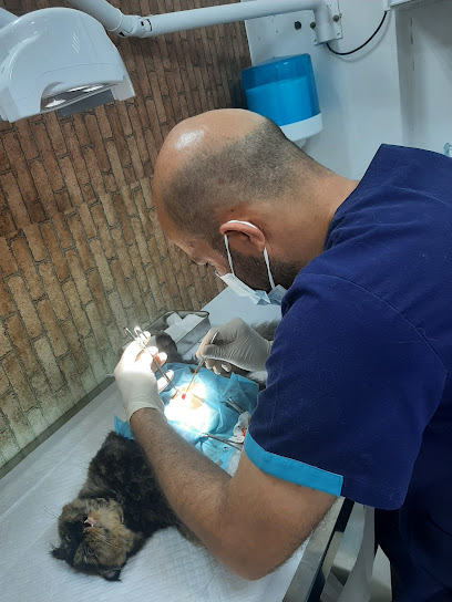 Dr AHMAD VET CLINIC