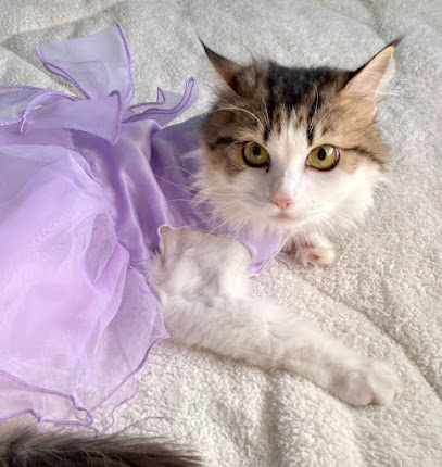 عيادة بيطرية My pet Veterinary clinic my pet