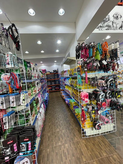 القطه الذهبية Golden Cat Store