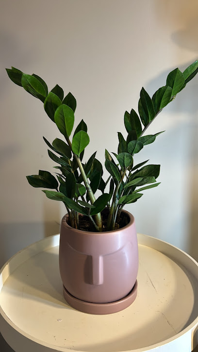 متجر هوم جاردن لهدايا النباتات الداخليه والتحف