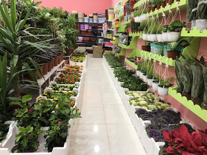 مشتل البساتين لنباتات الظل وطيور وأسماك الزينة