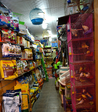Pets &pets Shop